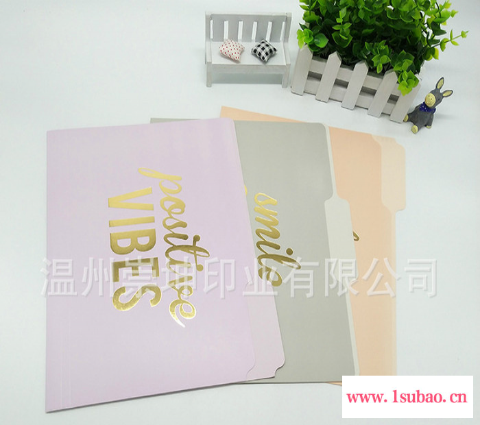 **L型文件夹 透明PP广告磨砂彩印文件夹 文件夹定制logo L型文件袋定制 a4彩色印刷广告文件夹 PP塑料透明图8