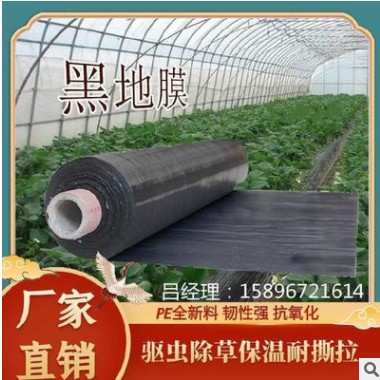 塑料地膜可降解种菜防尘有孔黑地膜种花生防水农用田园种植树苗图3