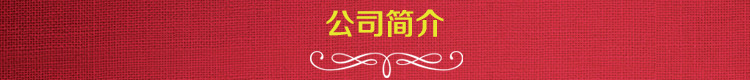 公司简介