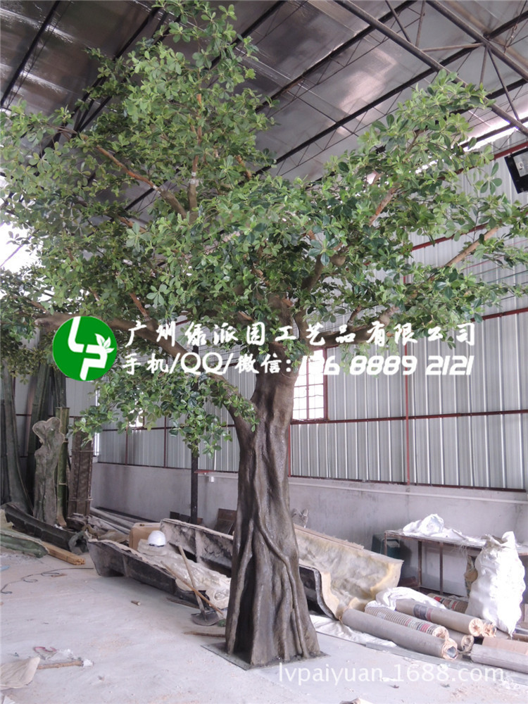 绿派园榕树198