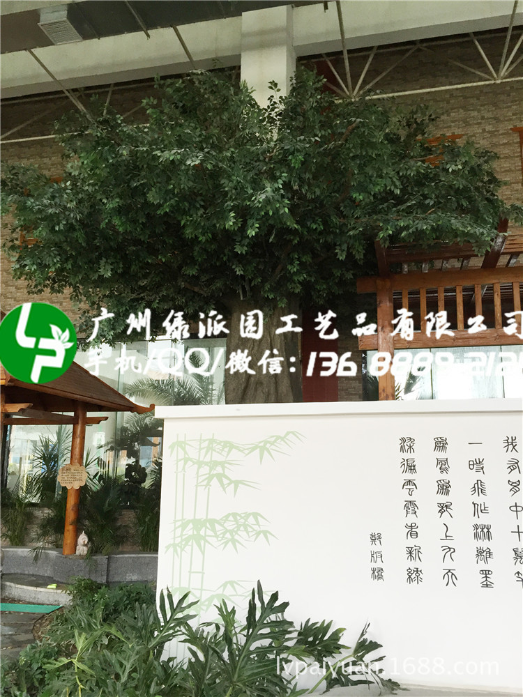 绿派园榕树151_副本