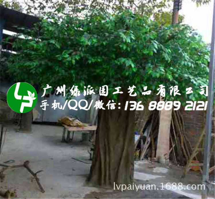 绿派园榕树207_副本