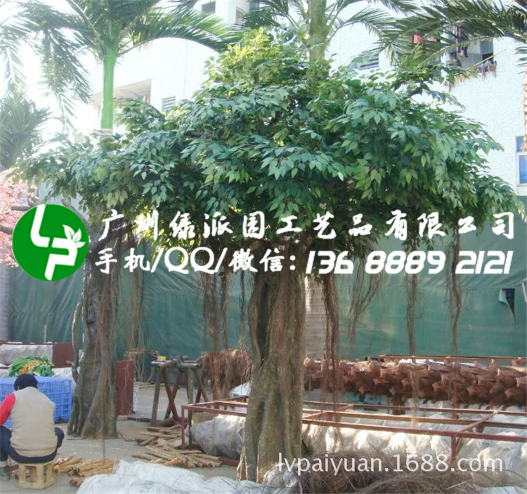 绿派园榕树167_副本