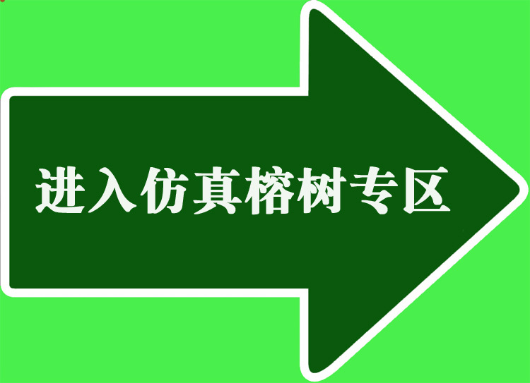 仿真榕树专区