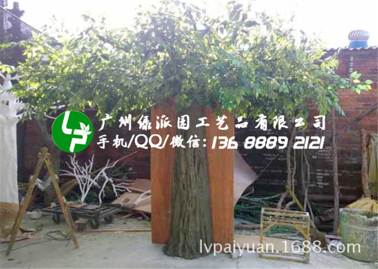 绿派园榕树125_副本