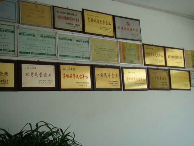 证书5