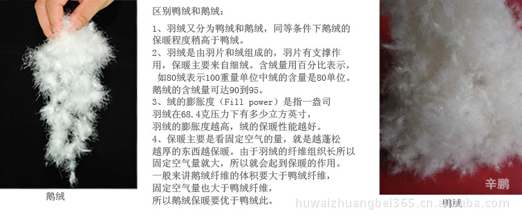 T2rYKGXlRaXXXXXXXX_!!865162571