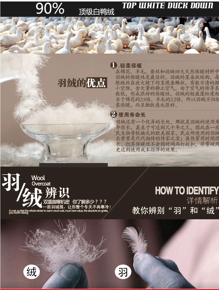 羽绒资料_副本