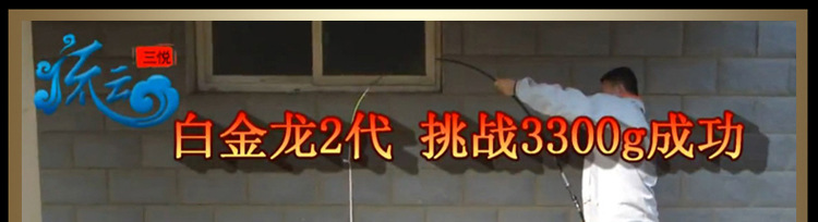 白金龙二代实战图副本_07
