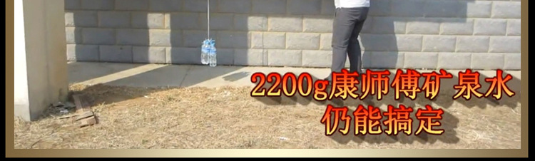 白金龙二代实战图副本_06
