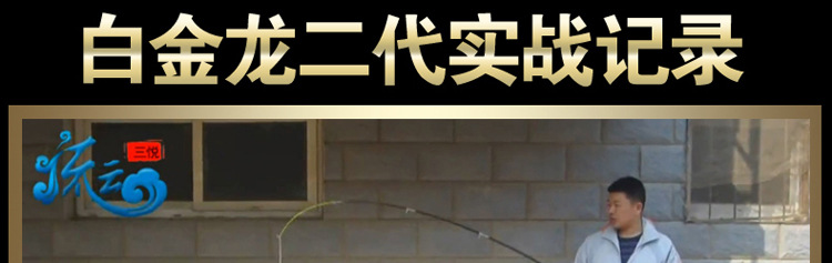 白金龙二代实战图副本_01