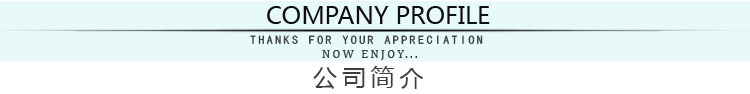 公司简介