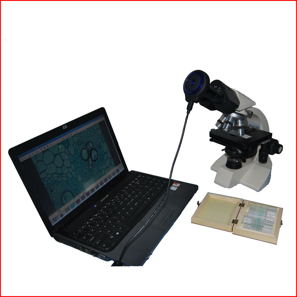 MVV5000+生物显微镜