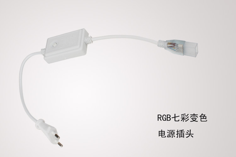RGB七彩变色电源插头