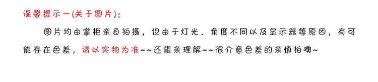 FL0888变形恐龙_08