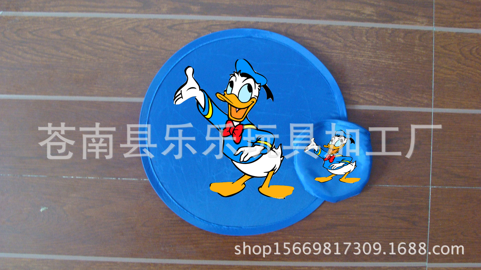 DSC00601