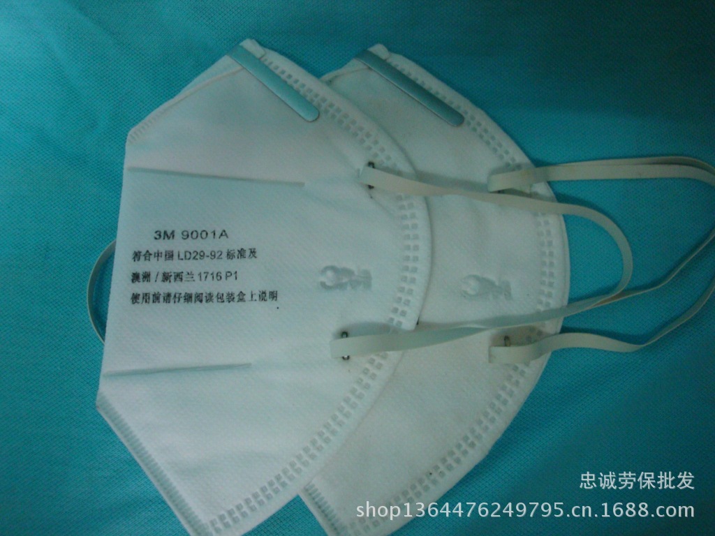 DSC01803