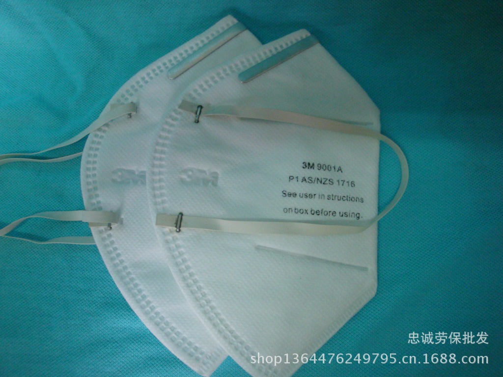 DSC01804