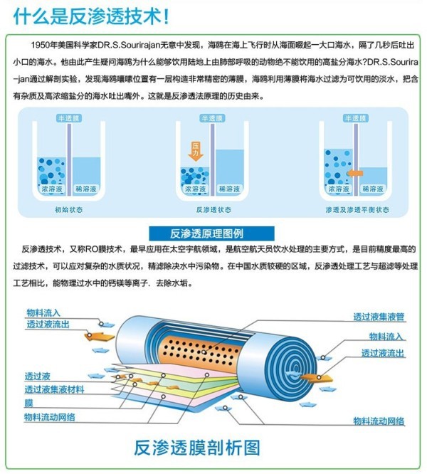 ro膜去杂质原理