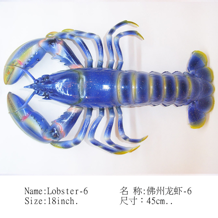 佛州龙虾-6