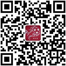 联系金又来