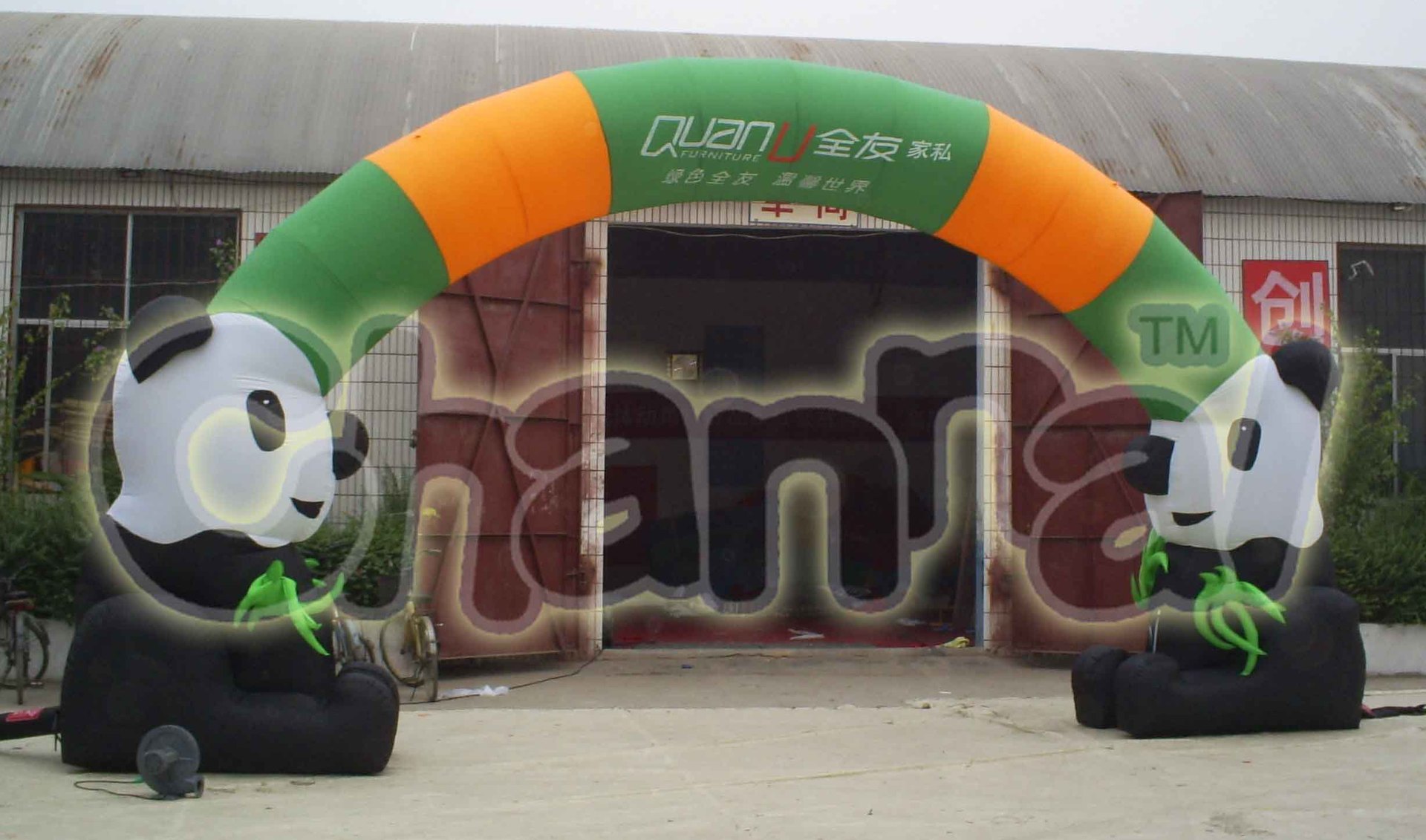 IMGP5458
