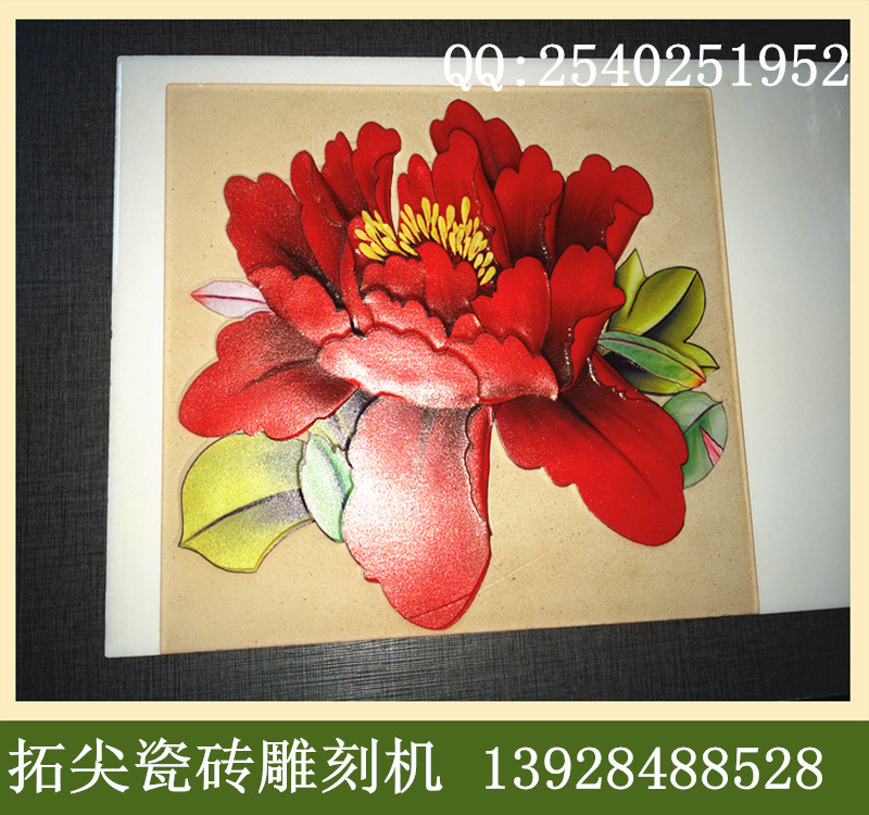 样品展示