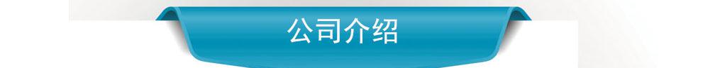 公司介绍