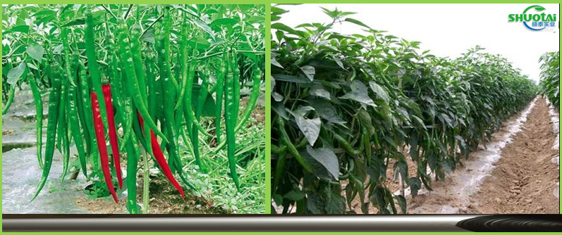 广东农用地膜生产厂家供应加厚蓝莓地膜银色反光除草地膜批发示例图10