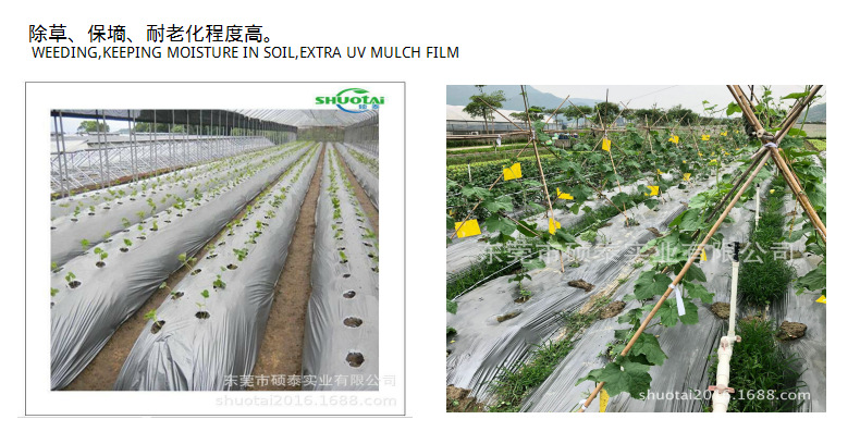 东莞农膜生产厂家供应全生物降解地膜可降解地膜除草膜定做示例图8