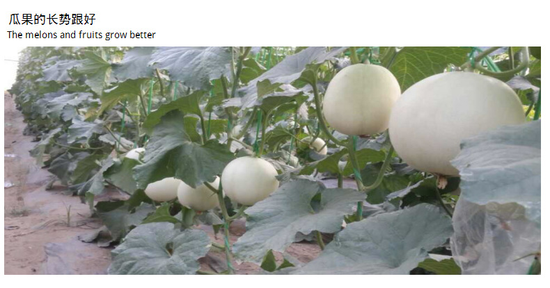 东莞农膜生产厂家供应全生物降解地膜可降解地膜除草膜定做示例图9