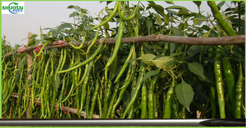 东莞地膜生产厂家供应黑色除草地膜黑色耐老化果树锄草农膜定做示例图5
