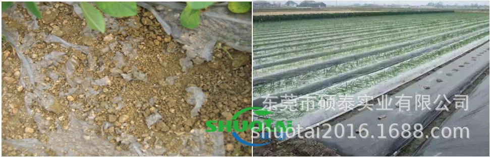 东莞地膜生产厂家供应黑色除草地膜黑色耐老化果树锄草农膜定做示例图2