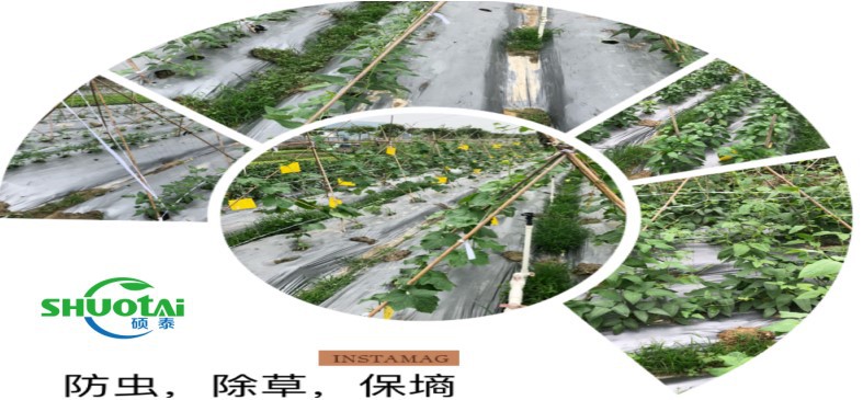 广东地膜生产厂家批发银黑锄草地膜加厚果树除草膜定做示例图10