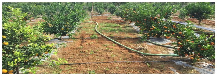 广东地膜生产厂家批发银黑锄草地膜加厚果树除草膜定做示例图12
