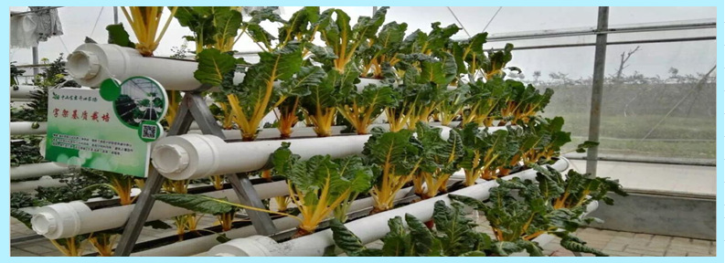 广东地膜生产厂家批发银黑锄草地膜加厚果树除草膜定做示例图5