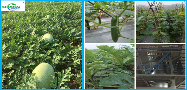 东莞地膜生产厂供应黑色耐老化地膜西红柿种植除草膜批发地膜定做示例图7
