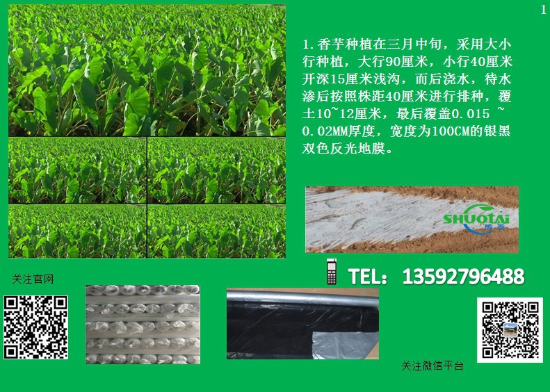 广东地膜膜厂家供应银黑色除草地膜防蚜虫耐老化银灰反光地膜批发示例图8