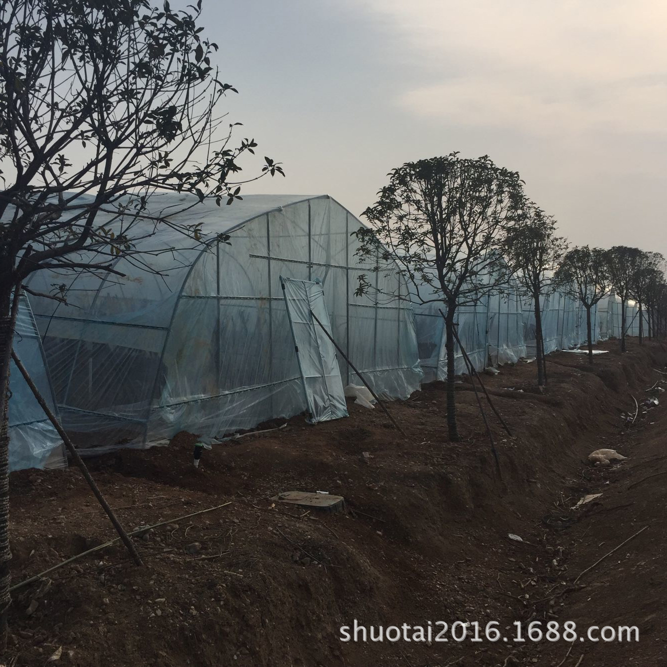 广东农膜厂供应耐老化透明葡萄大棚膜葡萄雨棚膜厂家直销示例图11
