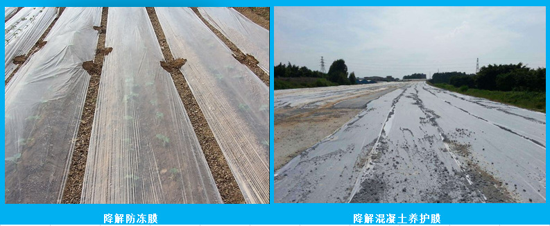 农膜生产厂家批发全生物降解地膜可降解农用膜定做示例图8