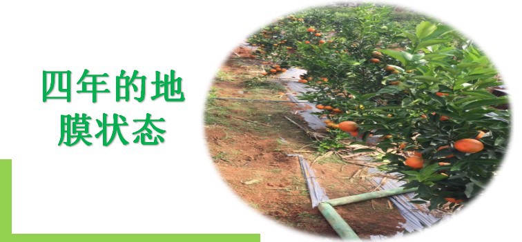 江西地膜厂直销加厚银黑双色地膜驱虫除草蘑菇地膜批发02*1.2米示例图23