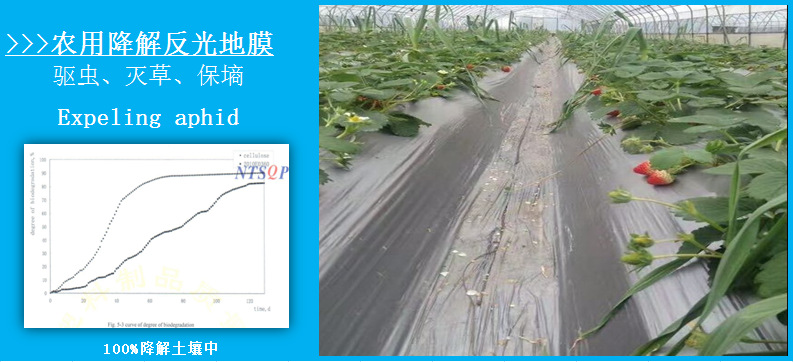 东莞地膜生产厂家供应银黑双色地膜耐老化除草地膜批发果树地膜示例图19