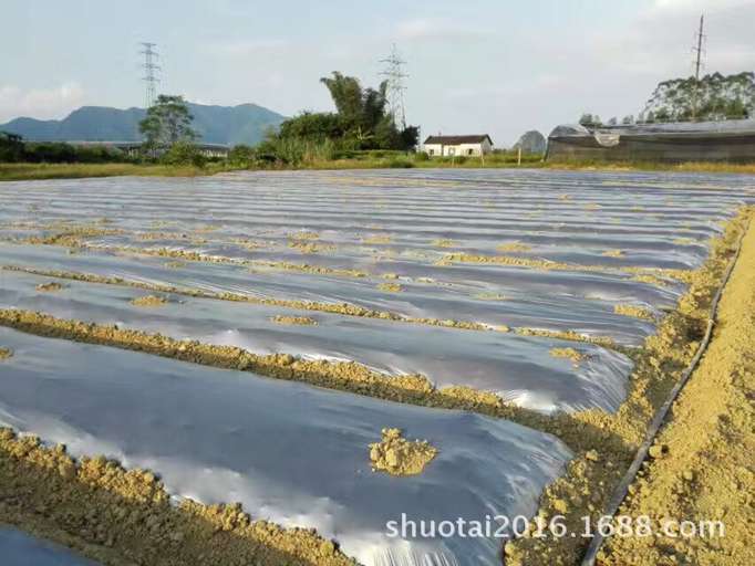 農膜廠家直銷耐老化鋤草膜黑色全新料地膜果樹除草地膜定做示例圖4