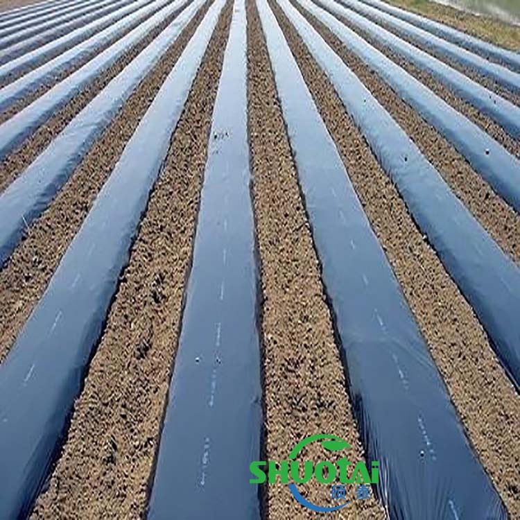 農膜廠家直銷耐老化鋤草膜黑色全新料地膜果樹除草地膜定做示例圖1