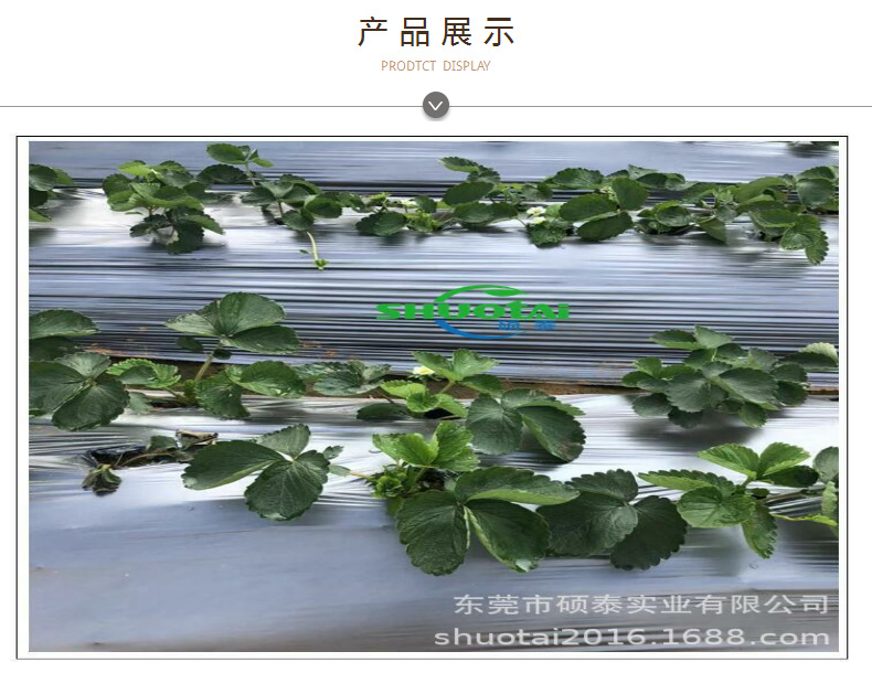 农膜生产厂家供应银黑双色地膜加厚银白反光地膜果树种植地膜批发示例图1