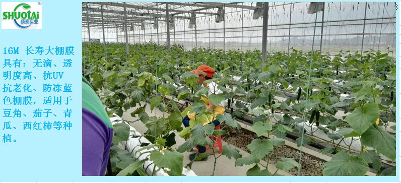 广东农膜生产厂家直销银黑双色地膜加厚耐老化除草膜锄草膜批发示例图5