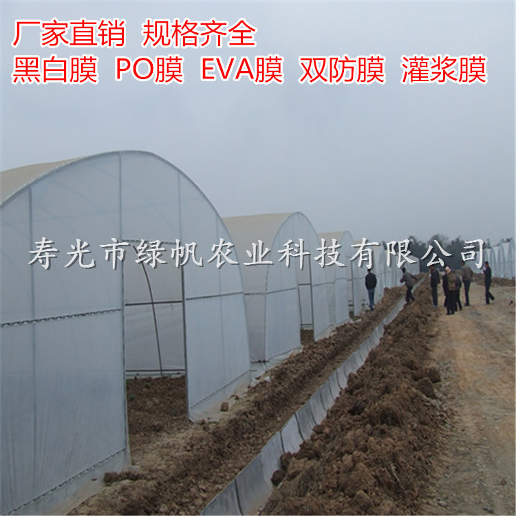 双防膜 (3).jpg