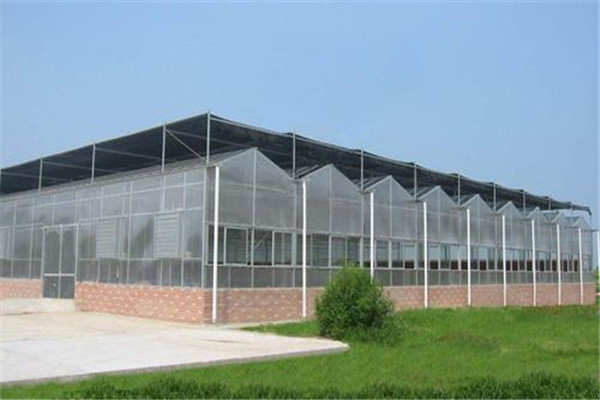 温室圣亚PC阳光板温室 纹洛大棚潍坊圣亚温室温室厂家