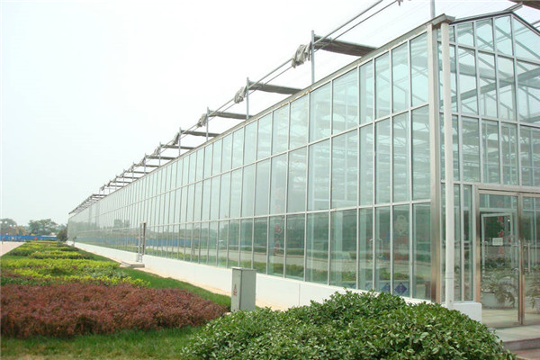 圣亚温室PC阳光板温室 纹洛大棚潍坊圣亚温室建设