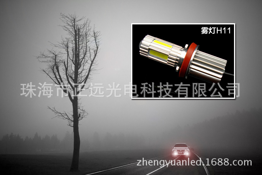 ZY-H11DMGWD-45W雾灯效果图